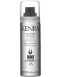 Volume Spray 25 Travel Size 1.5 oz Sale