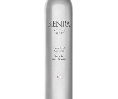 Volume Spray 25  10 oz Fashion