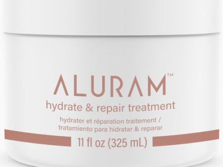 Hydrate & Repair Treatment 11 oz Online Hot Sale