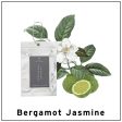 Layered Fragrance Mobile Fragrance Bergamot Jasmine 佛手柑茉莉香水卡片 Cheap